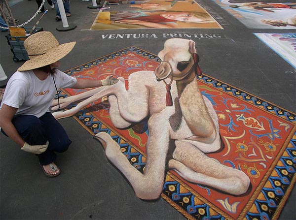 desert baby camel 3d street  art