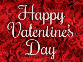 Valentine Day 2022, Valentine Day Gift Ideas, Valentine Day Images, Valentines Day Ideas