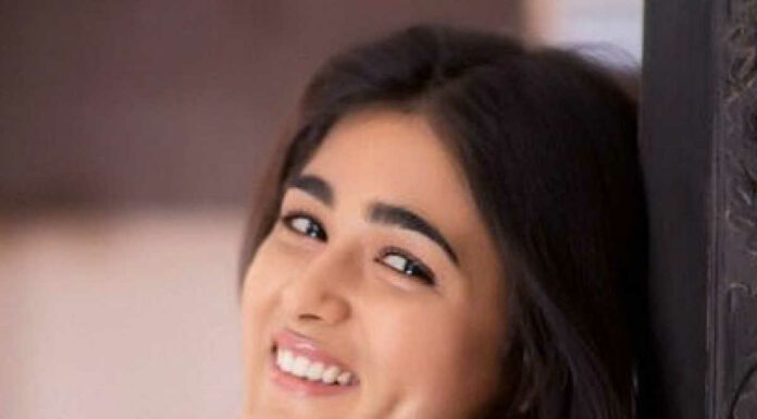 Shalini Pandey Biography, Age, Height, Career, Family, Boyfriend, Net Worth, Images