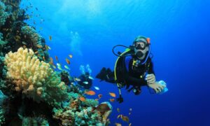 Scuba Diving in Hurghada