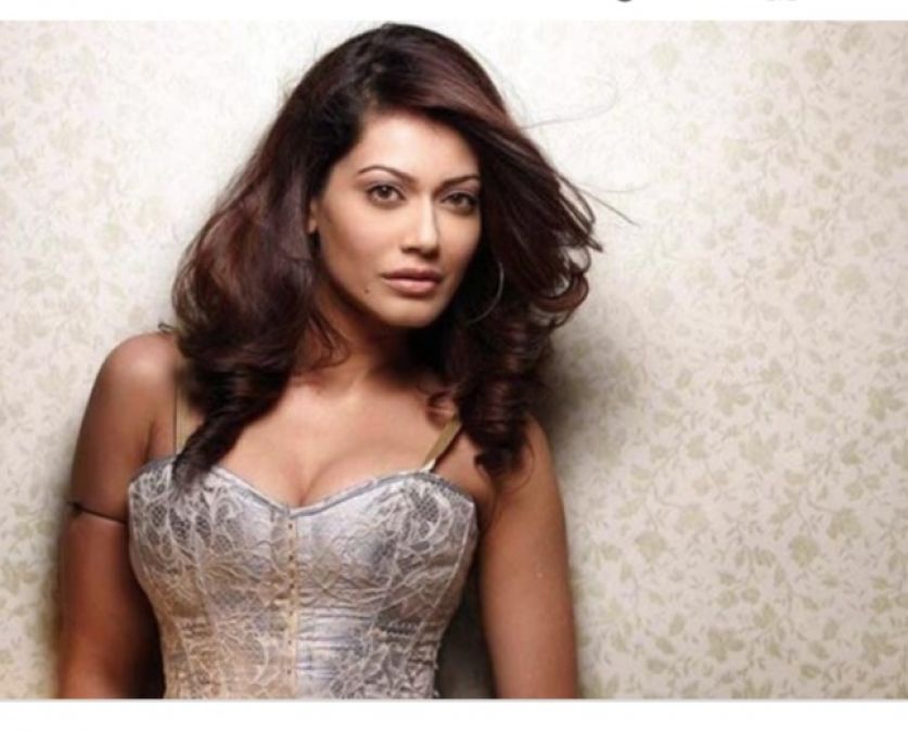 Payal Rohatgi Biography, Age, Wiki, Husband, Height, Boyfriend, Family