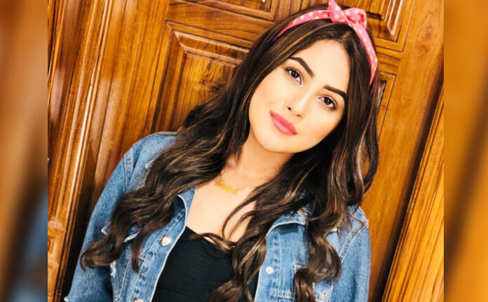 Shehnaaz Kaur Gill Bio, Age, Life, Career, Education, Profession, Controversies, And Much More.