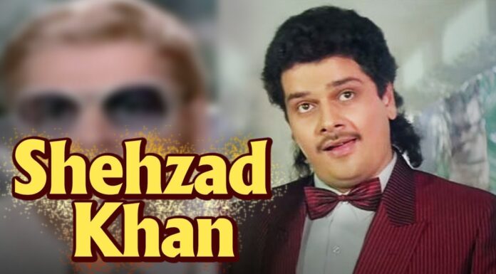 Shehzad Khan Biography, Age, Height, Wife, Family & More Shehzad Khan Biography