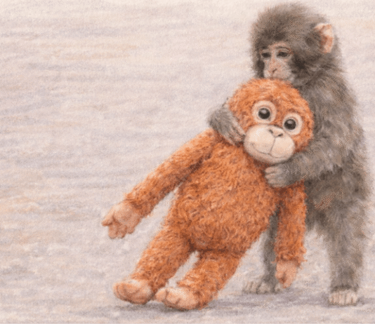 Viral Video: ‘Internet’s Favourite Monkey’ Attracts Huge Number of Fans at Ichikawa Zoo punch